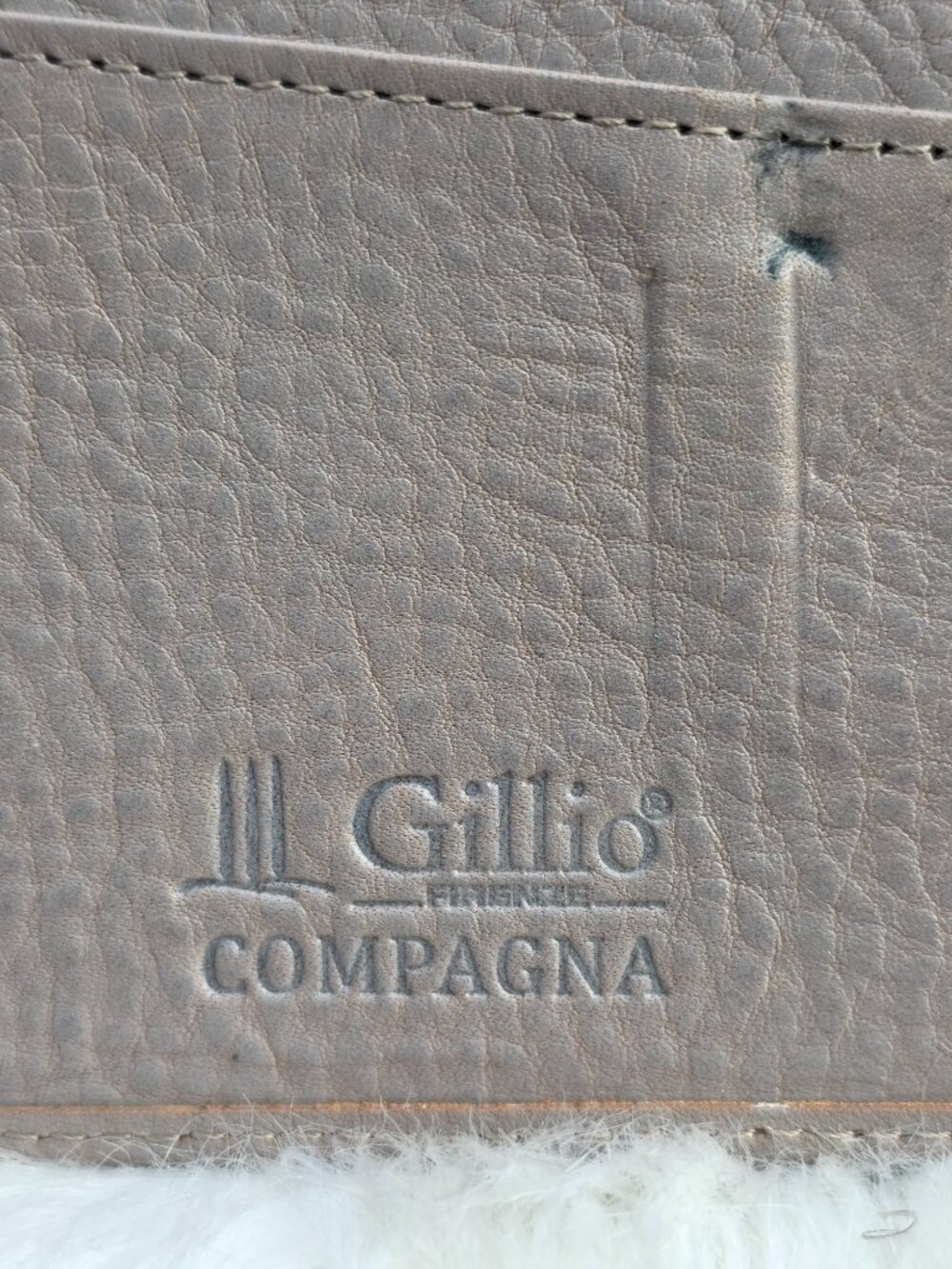 GILLIO FIRENZE COMPAGNA PLANNER